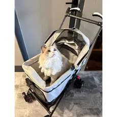 Carrinho para animais de estimação pequeno cão de tamanho médio leve dobrável Teddy Cat passeio andando separável cadeir