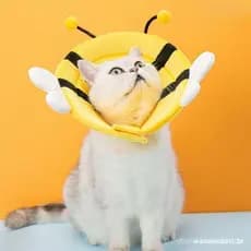Gatos Em Forma De Abelha , Cone De Proteção Do Pescoço Cão Ajustável Anti-Mordedura Elizabeth Circle Stop Licking