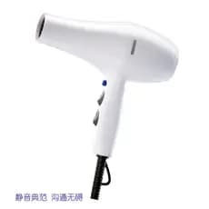 Fengzhifeng secador de cabelo 5600A alta potência silencioso Ultra leve profissional cabeleireiro genuíno secador de cab