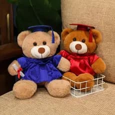 Doutor urso boneca de pelúcia estudantes do ensino fundamental presente de formatura comemorativo solteiro urso de pelúc