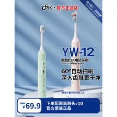 DSK Escova de dentes elétrica estilo casal unissex adulto YW-12 Sonic escova de dentes recarregável vibração sônica