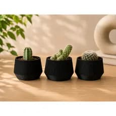 Kit 3 Vasos Cachepot Vasos Decorativos para Suculentas