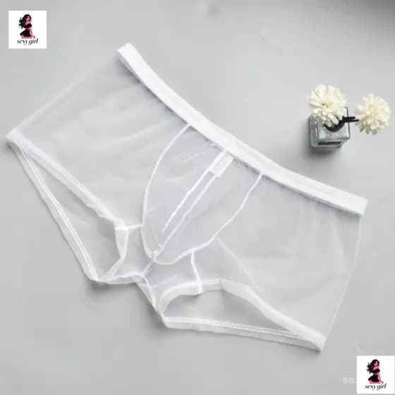 Roupa íntima de gaze ultra-fina, roupa íntima masculina respirável, cuecas boxer masculinas transparentes e sensuais LEN