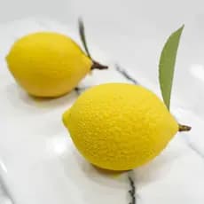 4 Molde Tridimensional Contínuo de Simulação de Molde de Limão de Frutas Mousse de Sobremesa Francesa de Chocolate Molde
