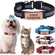 Coleira Personalizada Para Animais De Estimação , Gravura Gratuita , Segurança , Filhote De Cachorro , Gato , Colar De N