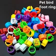 100 Peças De Anel De Pé De Calopsita E Codorna , Clipes De Pombo De Ponta Aberta De 6 Mm . Números Do Item 001 ~ 100
