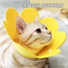 Elizabeth Collar Cat Pet Collar Leve Feltro Chapelaria Recuperação Pós-operatória Anti-Lamber Coleira Ajustável