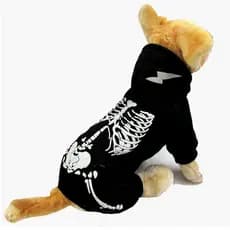 Roupas De Halloween Para Cães Que Brilham No Escuro Esqueleto Animais De Estimação
