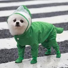 Capa De Chuva Para Cachorro De Uma Peça Impermeável Roupas Cães Pequenos Yorkie Roupa De Macacão Estimação