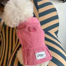 Roupa para animais de estimação em imitação de jeans para cães estilosos: calças e moletom em imitação de jeans.