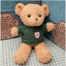 Urso de pelúcia Teddy de 10 polegadas com roupa removível, Bonito Presente de Graduação,