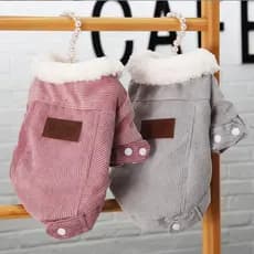 Roupa Do Cão Outono E Inverno De Estimação Além De Veludo Casaco Espessamento Quente Chihuahua Yorkie Gato Roupas .