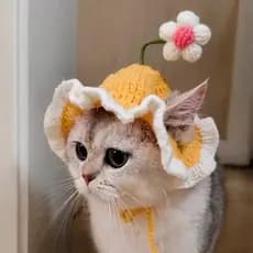 Chapéu para animais de estimação com flor pequena Lolita Maid Inglês Curto Gato Chapelaria Aba Ondulada Chapéu de Malha