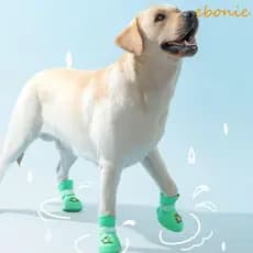 EBONIE 4 Unidades/Conjunto Sapatos De Chuva Para Cães , Sapato Antiderrapante À Prova D'água Animais De Estimação , Capa