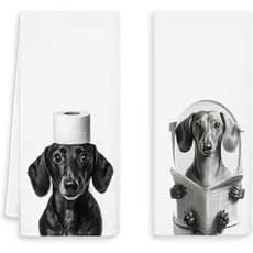 Toalhas de Mão Divertidas com Estampa de Dachshund para Banheiro, Conjunto de 2, Toalhas de Mão com Estampa de Cão Dachs