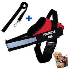 Peitoral Colete Personalizado Com Guia Nome Telefone Pet Pesseio Segurança Refletivo Coleira