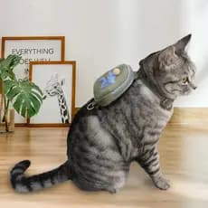 Arnês Para Gatos Com Trela Conjunto De Luxo Puxar Saco Pet Ajustável Correndo Colar Chumbo Segurança Moda Gato Pequeno M
