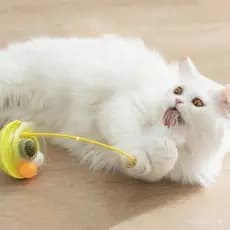 Brinquedo Interativo Para Rolar Gatos , base ABS Com Bola Rolante De Penas , design anti-Tombamento De Brincar De Gato
