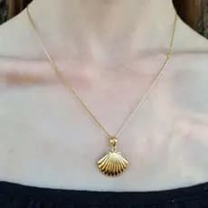 Colar De Concha Cordão Veneziana Banhado A Ouro 18k
