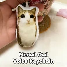 Criativo Gato Voz Chaveiro Engraçado Alemão Reverso Gatinho Boneca Com Som Descompressão Crianças Brinquedo Mochila Ping
