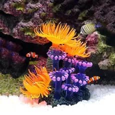 Simulação De Aquário Decoração De Coral Silicone Tanque De Peixe Artificial Planta Falsa Ornamento Anemone Do Mar Aquáti