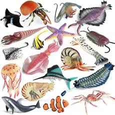 Vida Marinha Animais Anomalocaris Opabinia Estrela Do Mar Caranguejo Nautilus Camarão Peixe Modelo Figuras De Ação PVC M