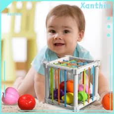 Fruit Toys for Toddlers Color and Shape Recognition Rainbow Toy Set for Preschoolers – Enhance Skills for Kids