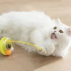 Brinquedo Interativo Para Rolar Gatos , base ABS Com Bola Rolante De Penas , design anti-Tombamento De Brincar De Gato