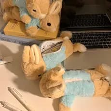 2026 Novo Dos Desenhos Animados De Pelúcia Animal Lápis Caso Bonito Coelho Boneca Grande Capacidade Estudante Papelaria