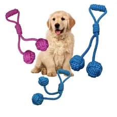 Brinquedo Pet para Cachorro Corda 2 Bolas 2 Molas Mordedor Resistente Sortido