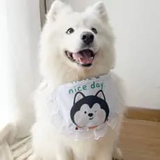Babador Redondo Fofo Para Cachorro 2025 , De Desenho Animado , Saliva , Médio E Pequeno , Golden Retriever , Samoyed , H