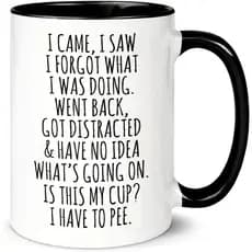 Cheguei, vi, esqueci o que estava fazendo - Caneca de Café Engraçada - Presentes Sarcásticos Engraçados para Idosos - Pr