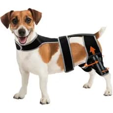 Adjustable Dog Knee Brace for Hind Leg - Double Leg Orthopedic Support with 4 Metal Stabilizers, Vest Design Dog Leg Bra