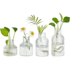 Vasos de Propagação de Vidro Hewory para Plantas: 4 Peças de Suportes para Propagação de Plantas com Revestimento Canela
