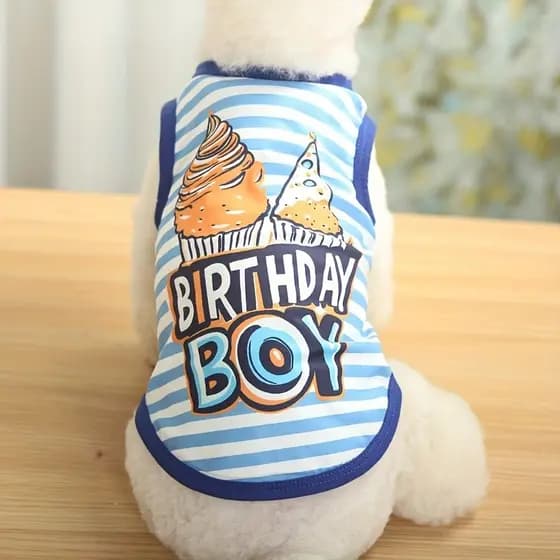 Colete Listrado para Gato e Cachorro com Estampa de Letras para Aniversário Feliz