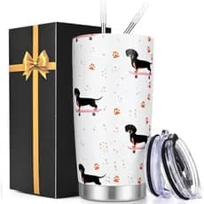Lifecapido Dachshund Gifts for Women, Cute Dachshund 20oz Stainless Steel Tumbler with Lid & Straw, Christmas Birthday W