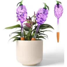 Conjunto de 3 Globos de Rega para Plantas em Forma de Uva com Estacas de Terracota, Inserção de Vidro Roxo e Verde para