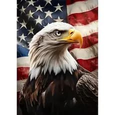 Kits de Pintura em Diamante SENQAO Eagle para Adultos, Kit de Pintura em Diamante com a Bandeira Americana para Iniciant