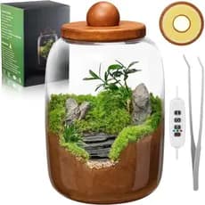 Terrário de Vidro para Mesa com Luz de Crescimento Controlada por Tempo, Estação de Propagação de Plantas e Vaso de Ar c