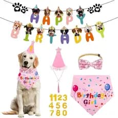 Bandana de Aniversário para Cães de Médio e Grande Porte, Faixa de Aniversário para Cães, Chapéu com Números, Gravata Bo