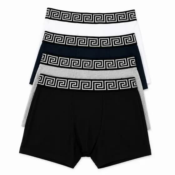 Kit 5 Cuecas Box Básicas No Algodão Com Elastano Boxer Masculino Elegante