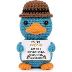 Mini Funny Awesome Platypus, Positive Crochet of Desk Decor, Emotional Support Crochet Animals for Women, Coworker, Plat