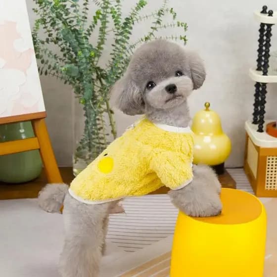 Roupas Fofas para Cães, Colete de Inverno para Cães Pequenos, Gatos, Casaco para Filhotes, Suéter Quente Animais de