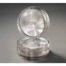 Almofada Fosca De Cristal Esfumaçado Fimbe | Acabamento Desfoque Suave-Fosco Base De Leve De Longa Duração Maquiagem K-B
