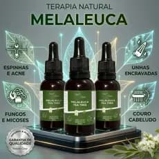 Óleo Essencial De Melaleuca Tea Tree Conta Gotas 100% Puro 30ml Contra Micose Acne