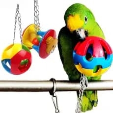 Brinquedo Para Mastigar Papagaio AGEON , Plástico Com Brinquedos De Bola De Corrente , Sinos Coloridos Contas , QXMN Int