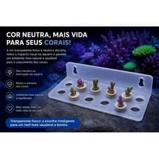 Suporte para Fragmentos de Corais (Frag Rack) Transparente Fosco | Organizador para Aquário Reef | Alta Durabilidade