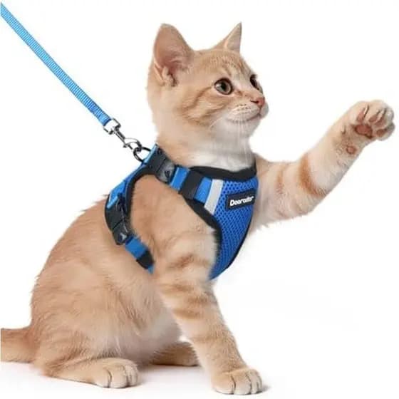 Conjunto De Arnês E Trela Para Gatos Dooradar , À Prova De Fuga Macio Com 3 Fivelas Ajustáveis , Colete Confortável Gati