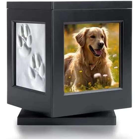 Urna De Cachorro Personalizada Para Cinzas , Lembrança Memorial De Madeira Preta Gato De Proprietário De Animal De Estim