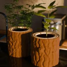 Vaso Decorativo Tronco de Árvore Planta Suculenta Cachepot Moderno Rústico Enfeite Casa Sala Quarto